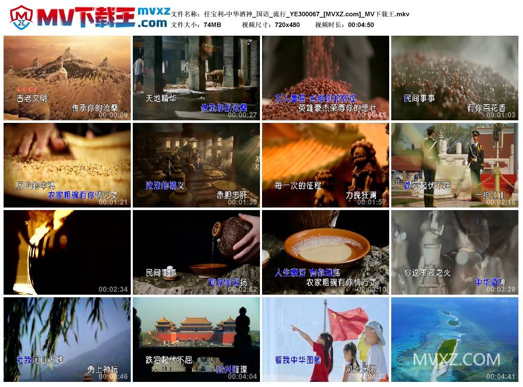 任宝利-中华酒神_国语_流行_YE300067